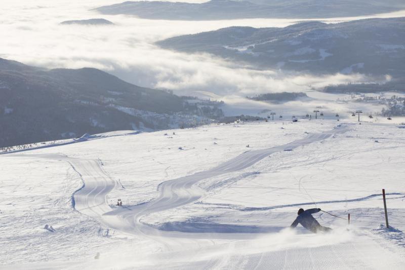 Skogro Ved Norefjell Noresund Extérieur photo